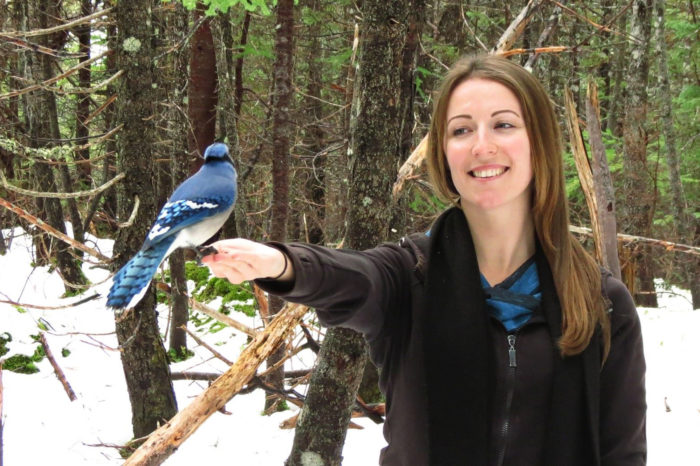 Lesley Earle: Žena, která mluví s ptáky