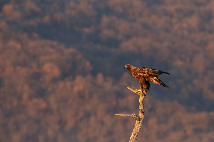 BirdLife International vyzývá k zařazení zdravého životního prostředí mezi základní lidská práva. Přidáte se?