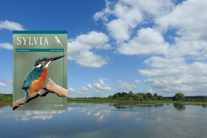 Vyšla nová Sylvia